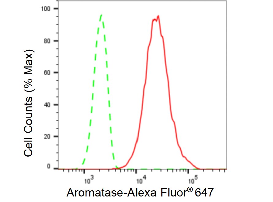 Aromatase Antibody (23GB5770)