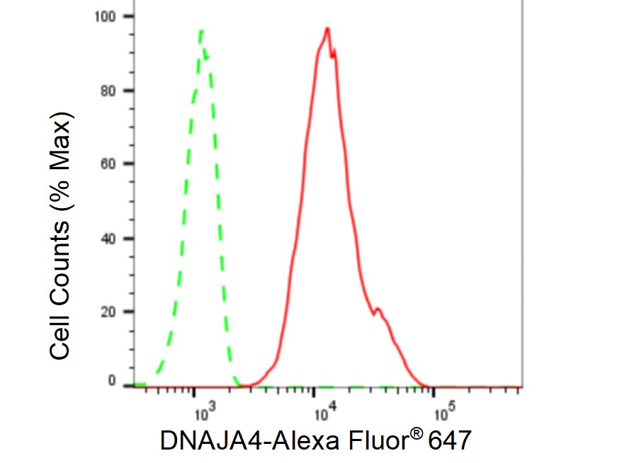 DNAJA4 Antibody (23GB5825)