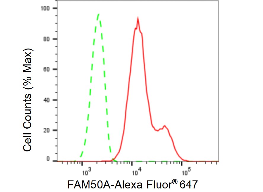 FAM50A Antibody (23GB5830)