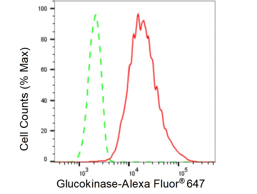 Glucokinase/GCK Antibody (23GB5845)