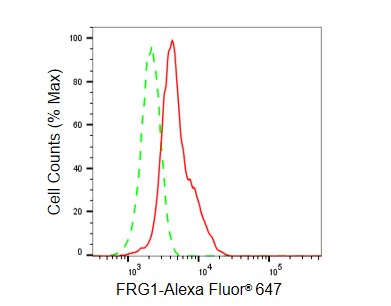 FRG1 Antibody (23GB5855)