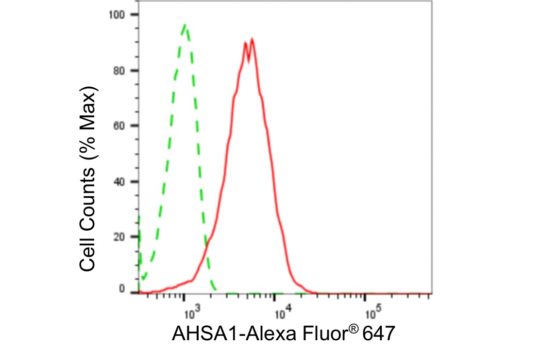 AHSA1 Antibody (24GB4705)