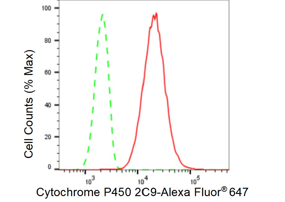 Cytochrome P450 2C9 Antibody (23GB5885)