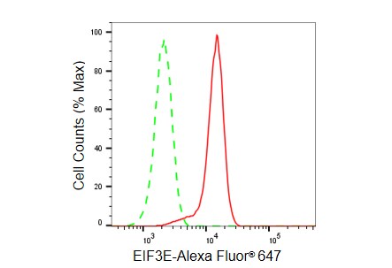 eIF3e Antibody (23GB5915)