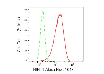 HINT1 Antibody (23GB5985)