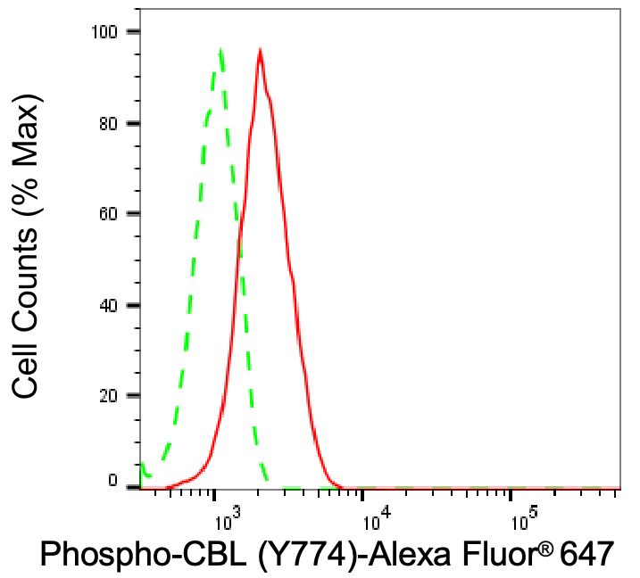 CBL [p Tyr774] Antibody (24GB5170)