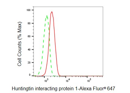 HIP1 Antibody (23GB6020)