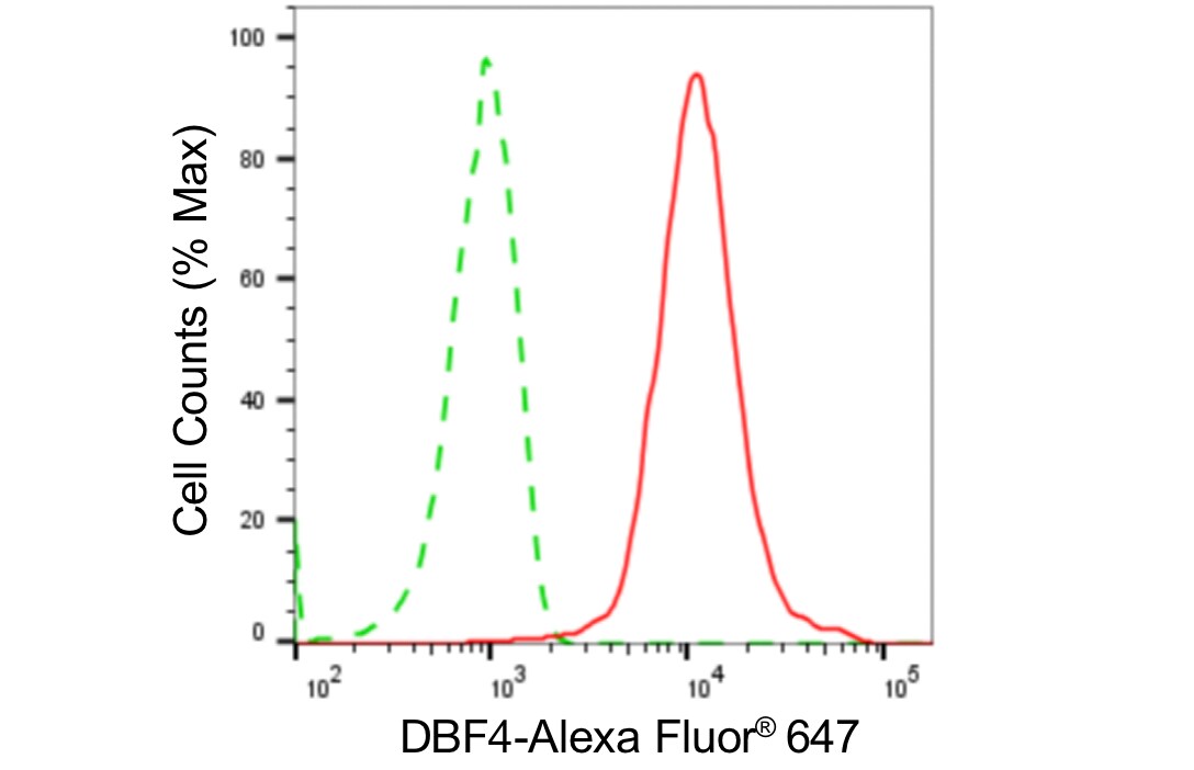 DBF4 Antibody (24GB5370)