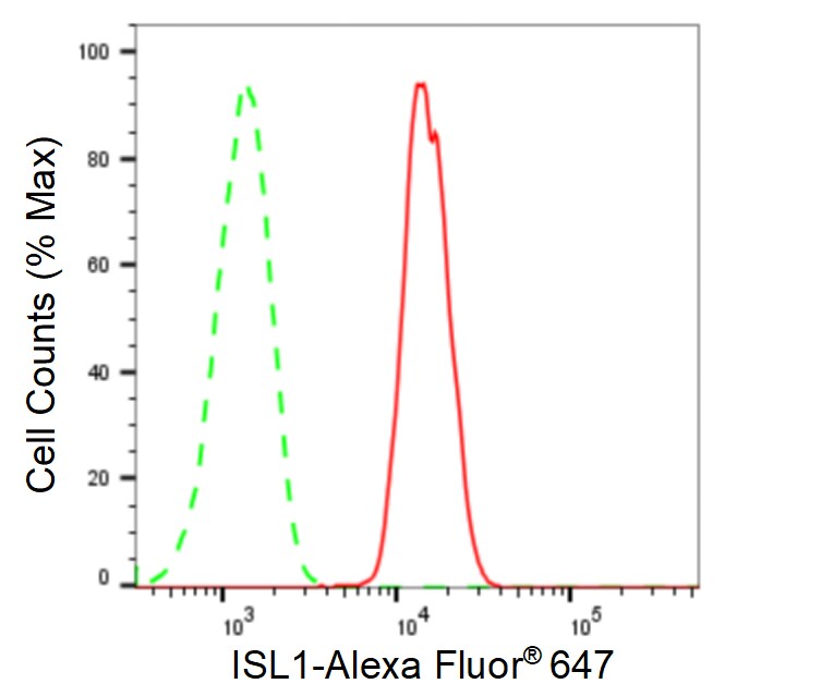 Islet-1 Antibody (23GB6115)