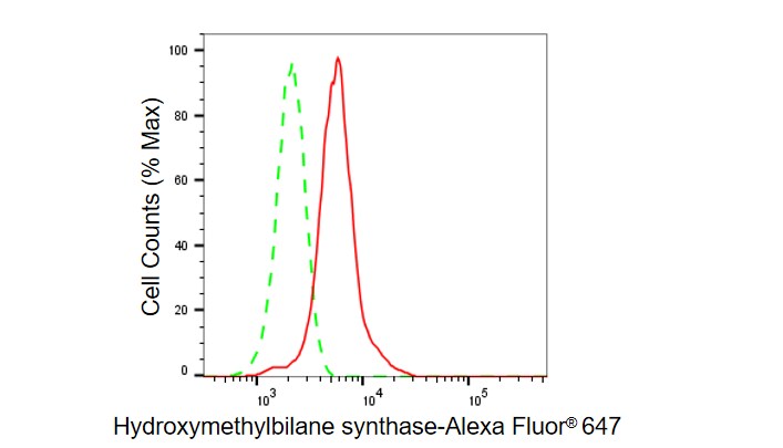 HMBS Antibody (23GB6130)