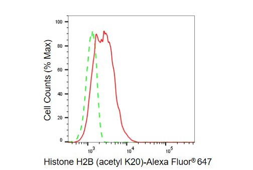 Histone H2B type 1B [ac Lys20] Antibody (23GB6140)