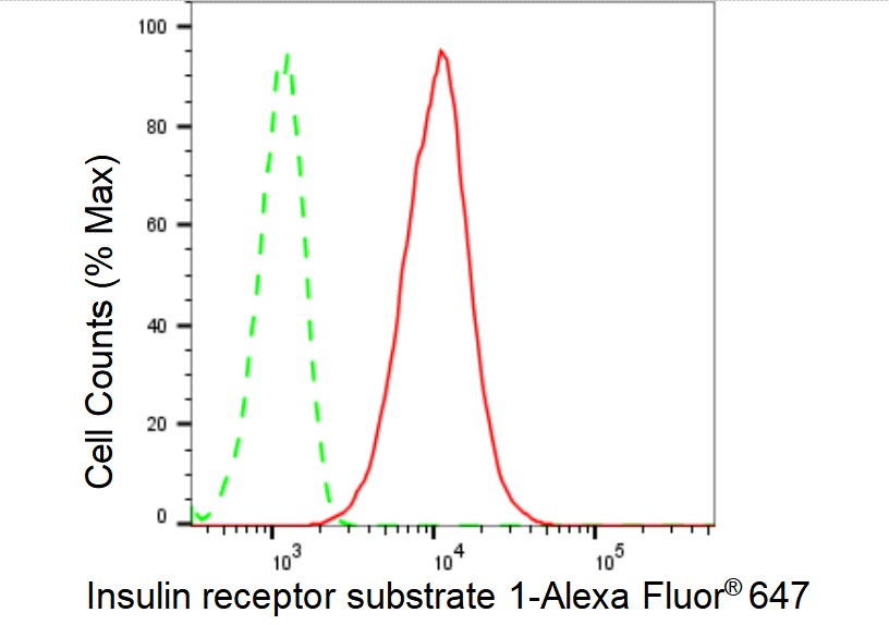 IRS1 Antibody (23GB6155)