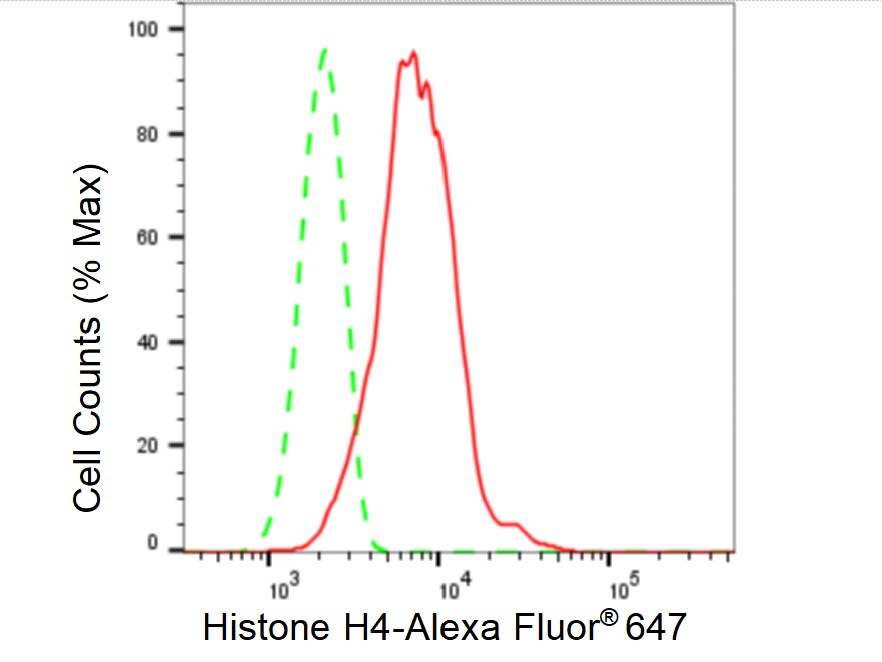Histone H4 Antibody (23GB6160)