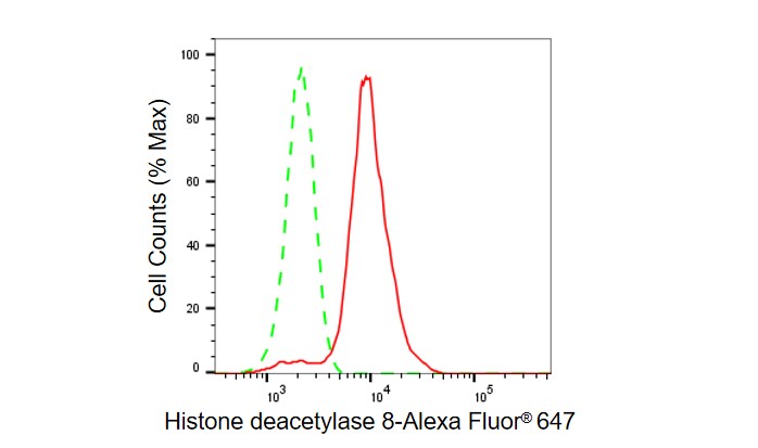 Histone Deacetylase 8/HDAC8 Antibody (23GB6180)