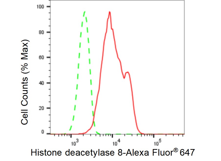 Histone Deacetylase 8/HDAC8 Antibody (23GB6185)