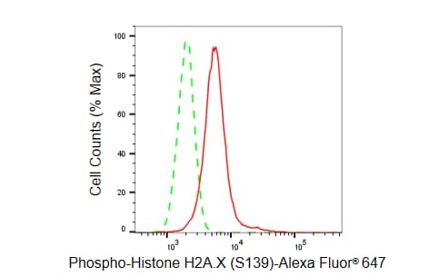 Histone H2AX [p Ser139] Antibody (23GB6200)