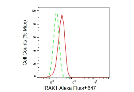IRAK1 Antibody (23GB6250)