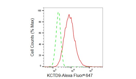 KCTD9 Antibody (23GB6305)