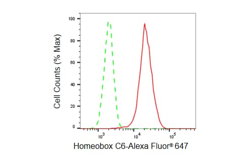 HOXC6 Antibody (23GB6315)