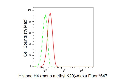 Histone H4 [Monomethyl Lys20] Antibody (23GB6320)