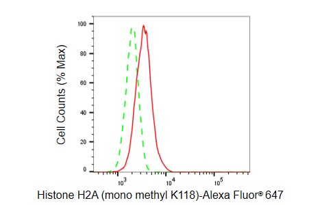 Histone H2a [Monomethyl Lys118] Antibody (23GB6330)