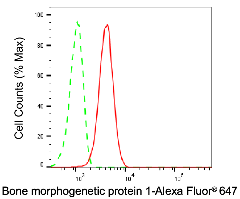 BMP-1/PCP Antibody (24GB7970)