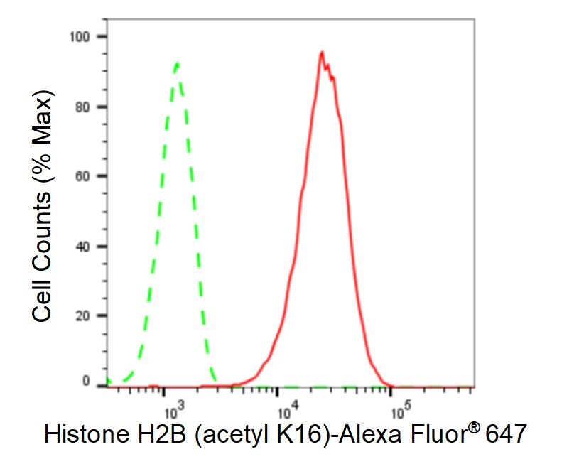 Histone H2B type 2E [ac Lys16] Antibody (23GB6340)