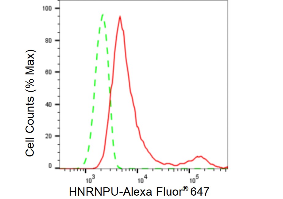 hnRNP U Antibody (23GB6350)