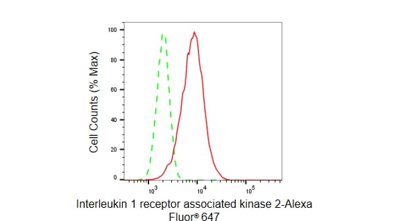 IRAK2 Antibody (23GB6365)