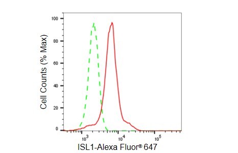 Islet-1 Antibody (23GB6450)