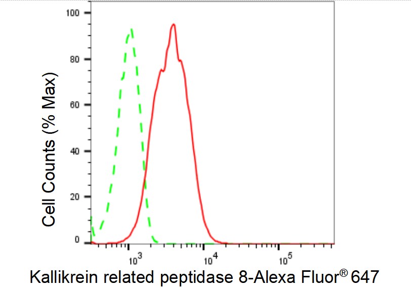 Kallikrein 8/Neuropsin Antibody (23GB6495)