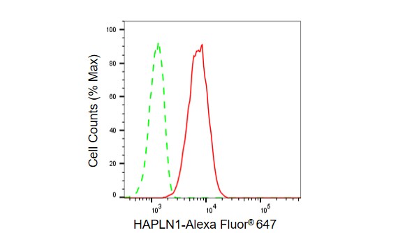 HAPLN1 Antibody (23GB6520)