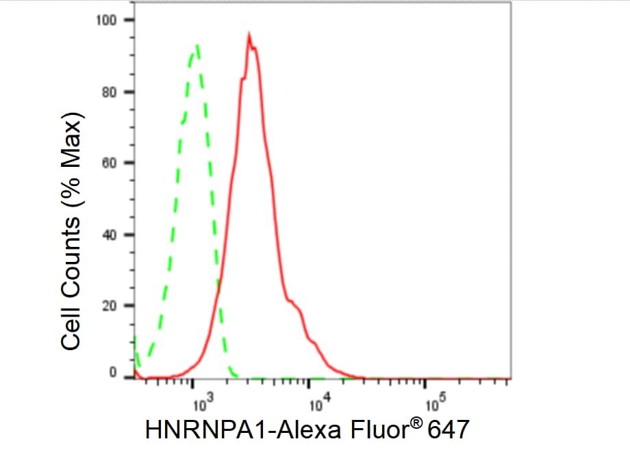 hnRNP A1 Antibody (23GB6575)