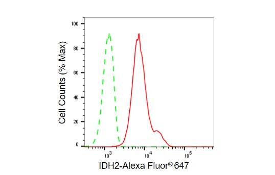 Isocitrate Dehydrogenase 2/IDH2 Antibody (23GB6580)