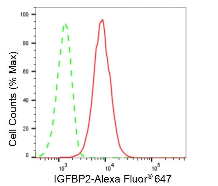 IGFBP-2 Antibody (23GB6635)