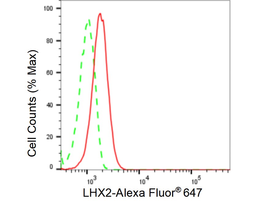 LHX2 Antibody (23GB6675)