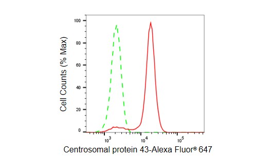 FGFR1OP Antibody (23GB5705)