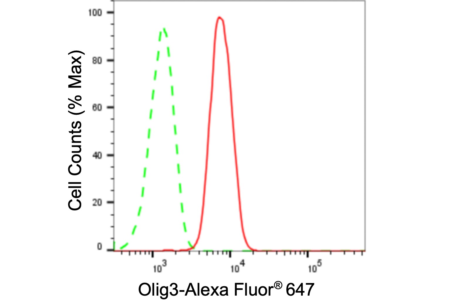 Olig3 Antibody (24GB30)