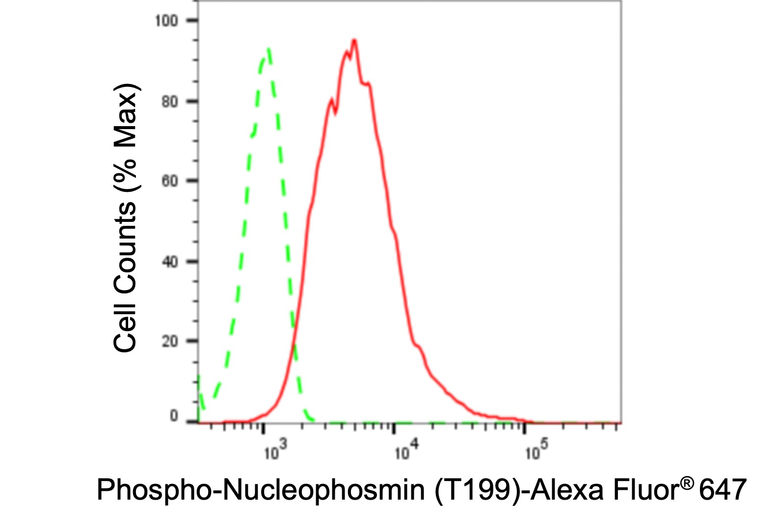 NPM1 [p Thr199] Antibody (24GB95)