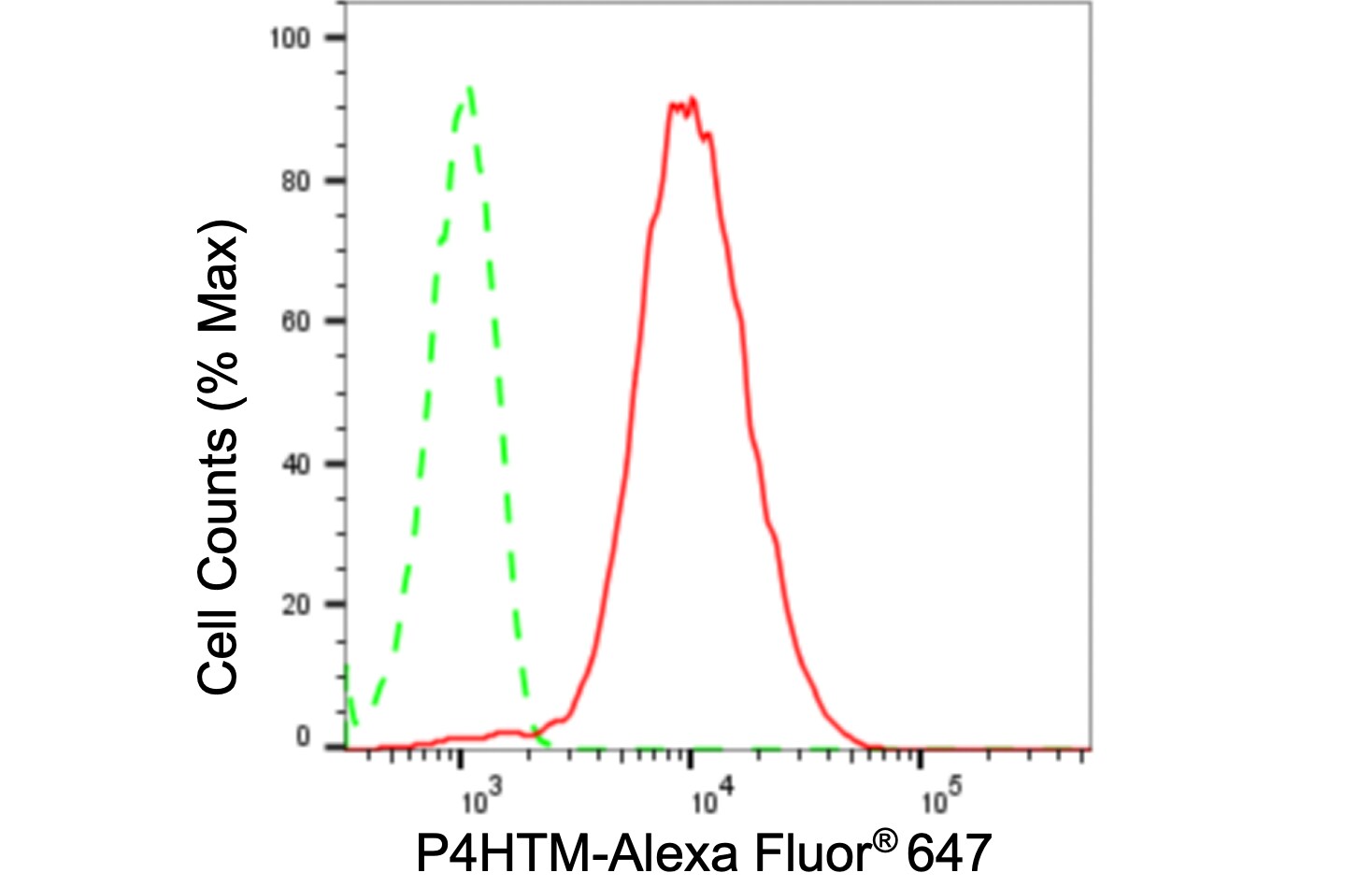 PHD4/HIF Prolyl Hydroxylase 4 Antibody (24GB100)