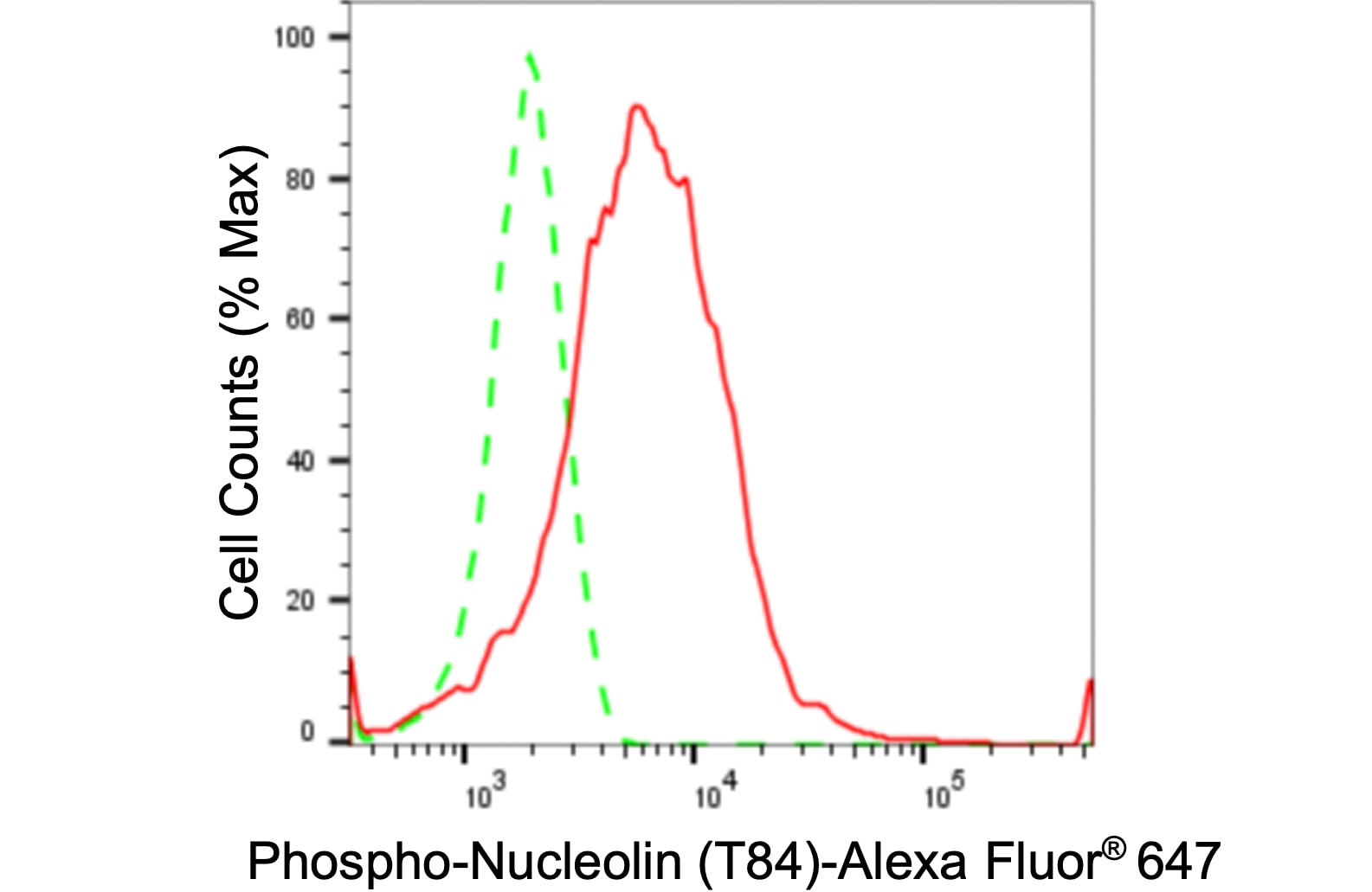 Nucleolin [p Thr84] Antibody (24GB130)