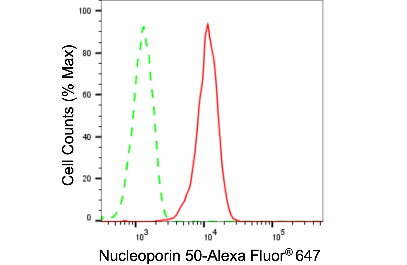 NUP50 Antibody (24GB135)