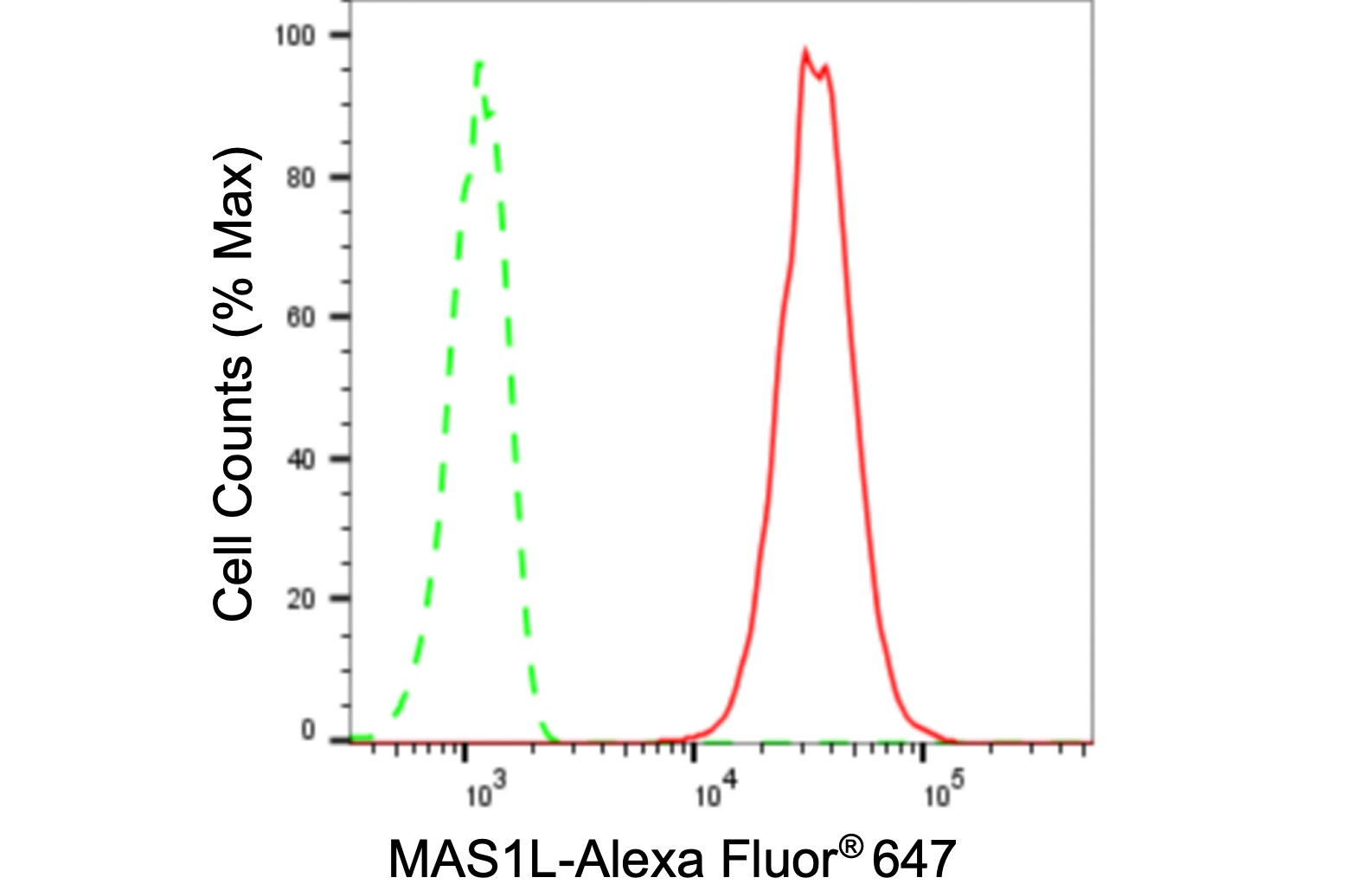 MAS1L Antibody (24GB140)