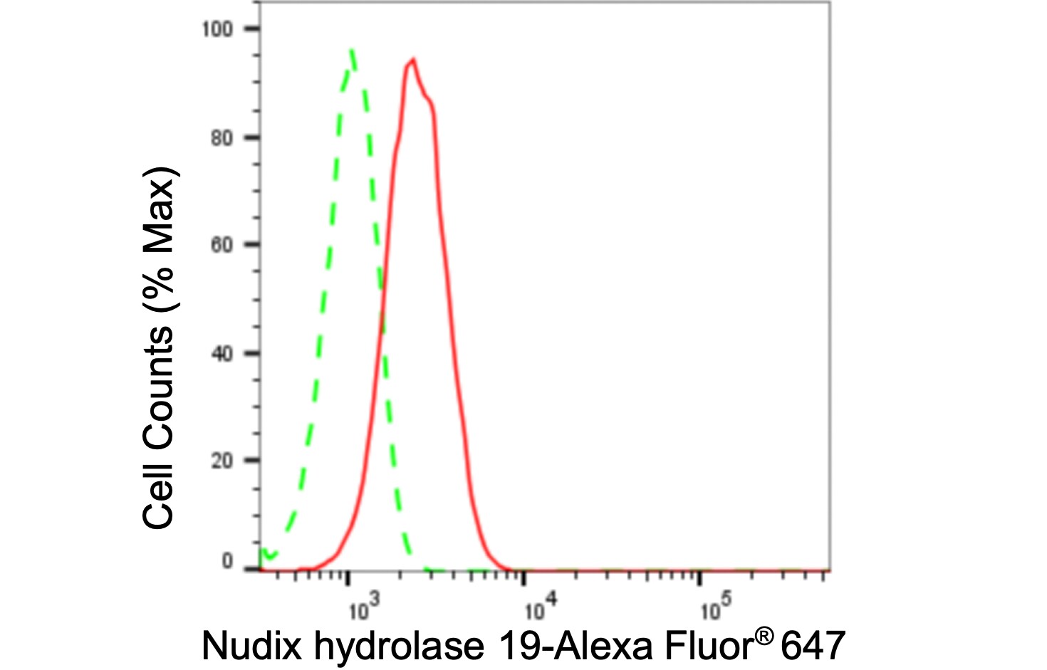 NUDT19 Antibody (24GB150)