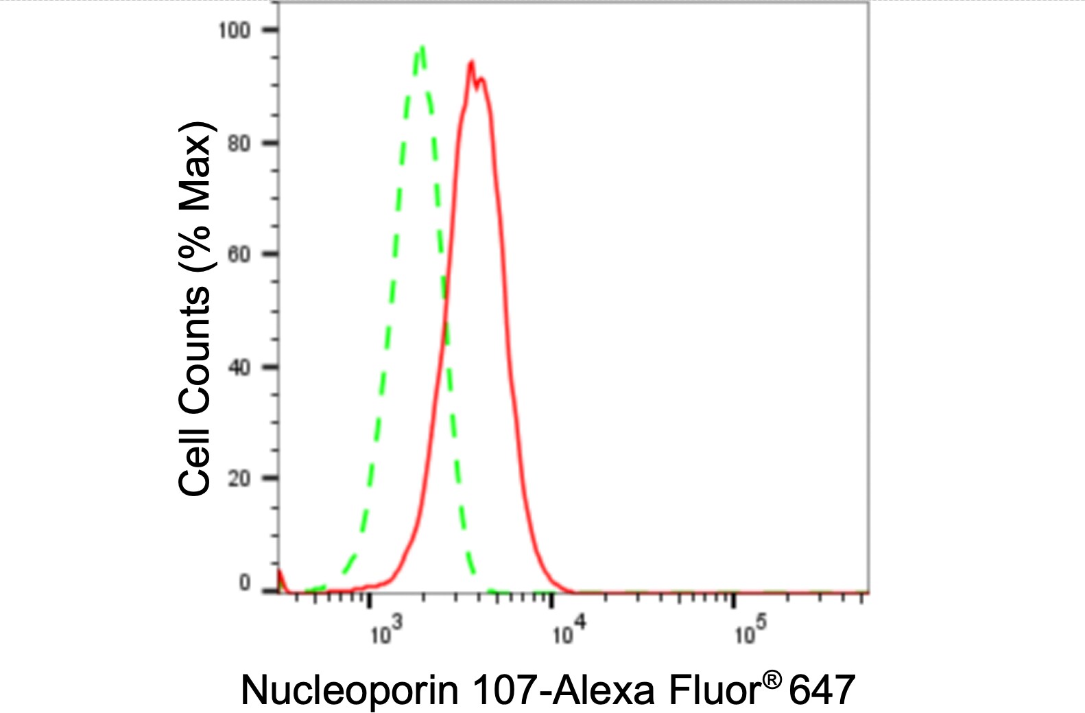 Nucleoporin 107 Antibody (24GB155)