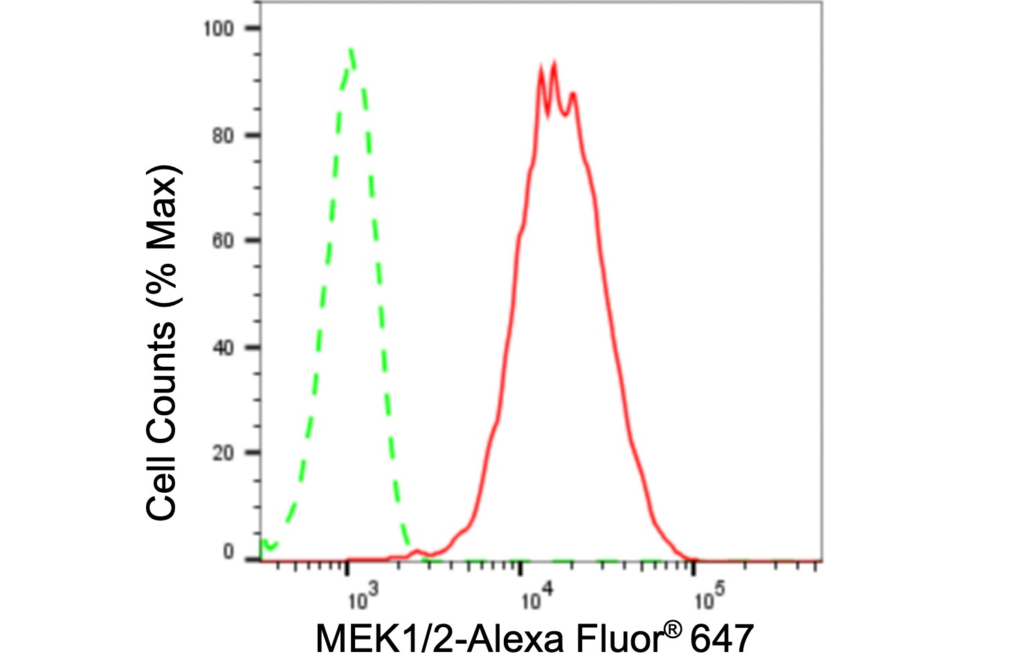 MEK1/2 Antibody (24GB175)