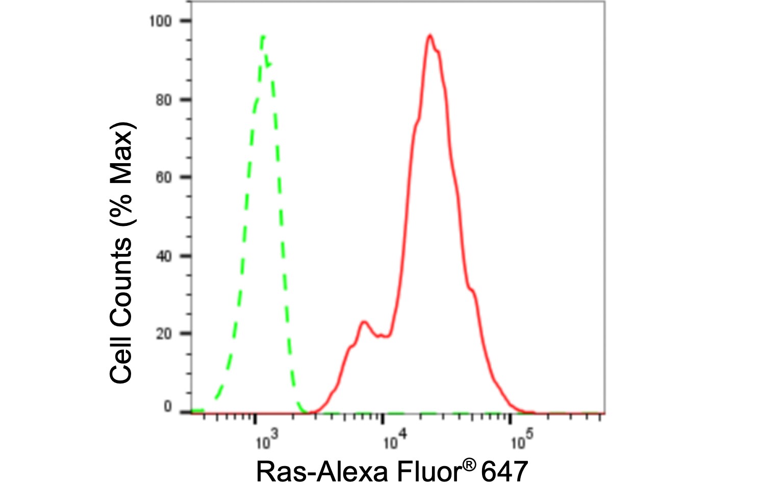 NRAS/HRAS/KRAS Antibody (24GB210)