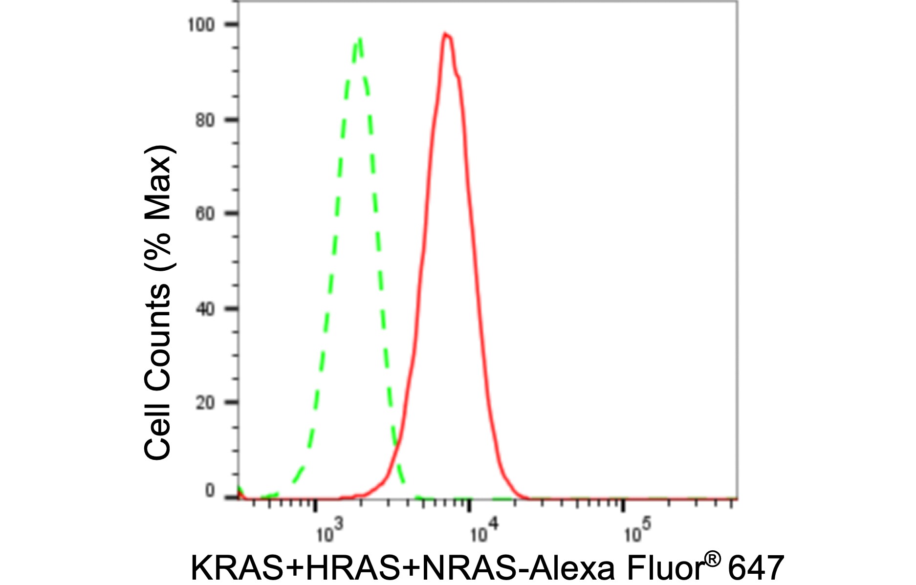 NRAS/HRAS/KRAS Antibody (24GB220)