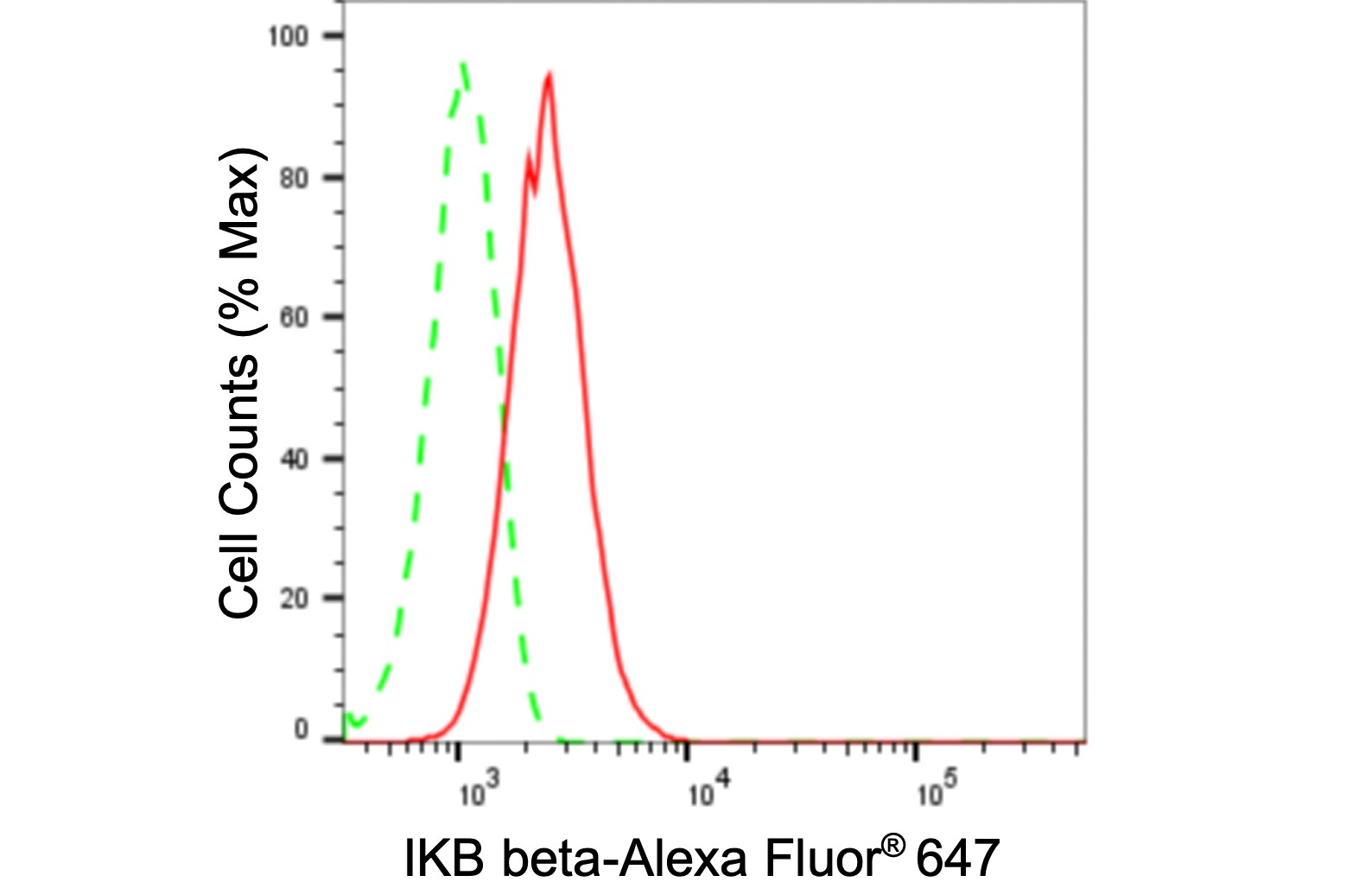 IkB-beta Antibody (24GB235)