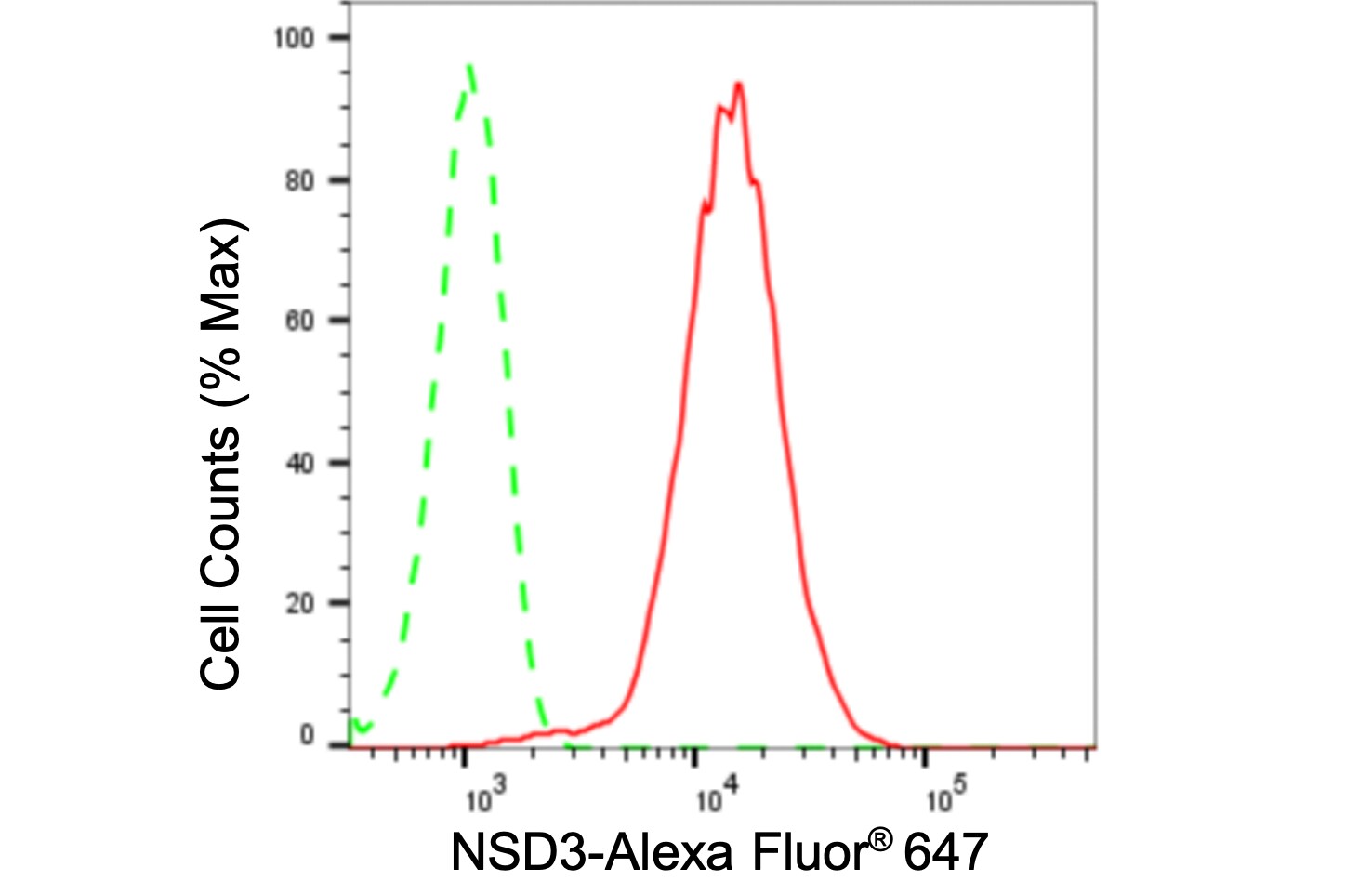 NSD3 Antibody (24GB245)